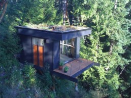 cabane travail coworking dans les arbres